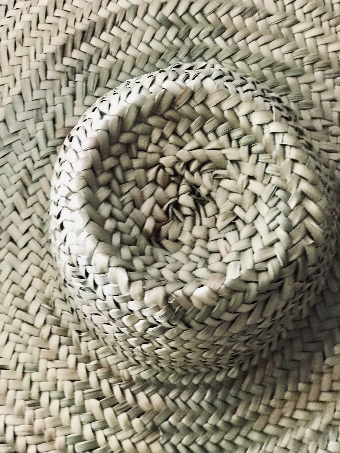 Palm Leaf Large Hat